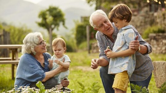 Grandparents discussing 529 college savings and estate planning strategies with a financial advisor