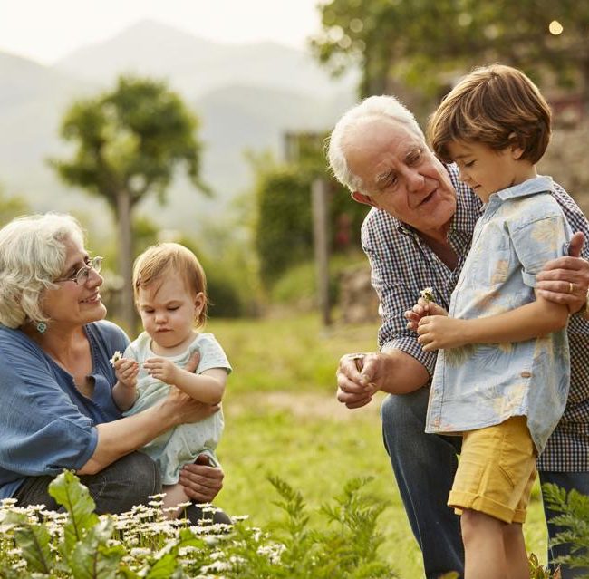 Grandparents discussing 529 college savings and estate planning strategies with a financial advisor